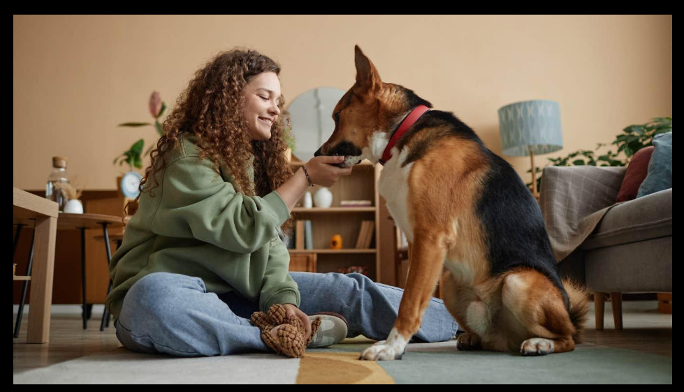 How To Stop Barking Without Hurting Your Dog