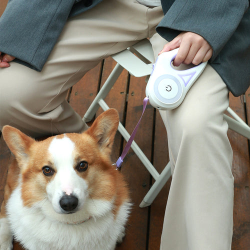 Retractable Dog Leash with Collar Set — 3M & 5M, One-Hand Brake, 3 Colors